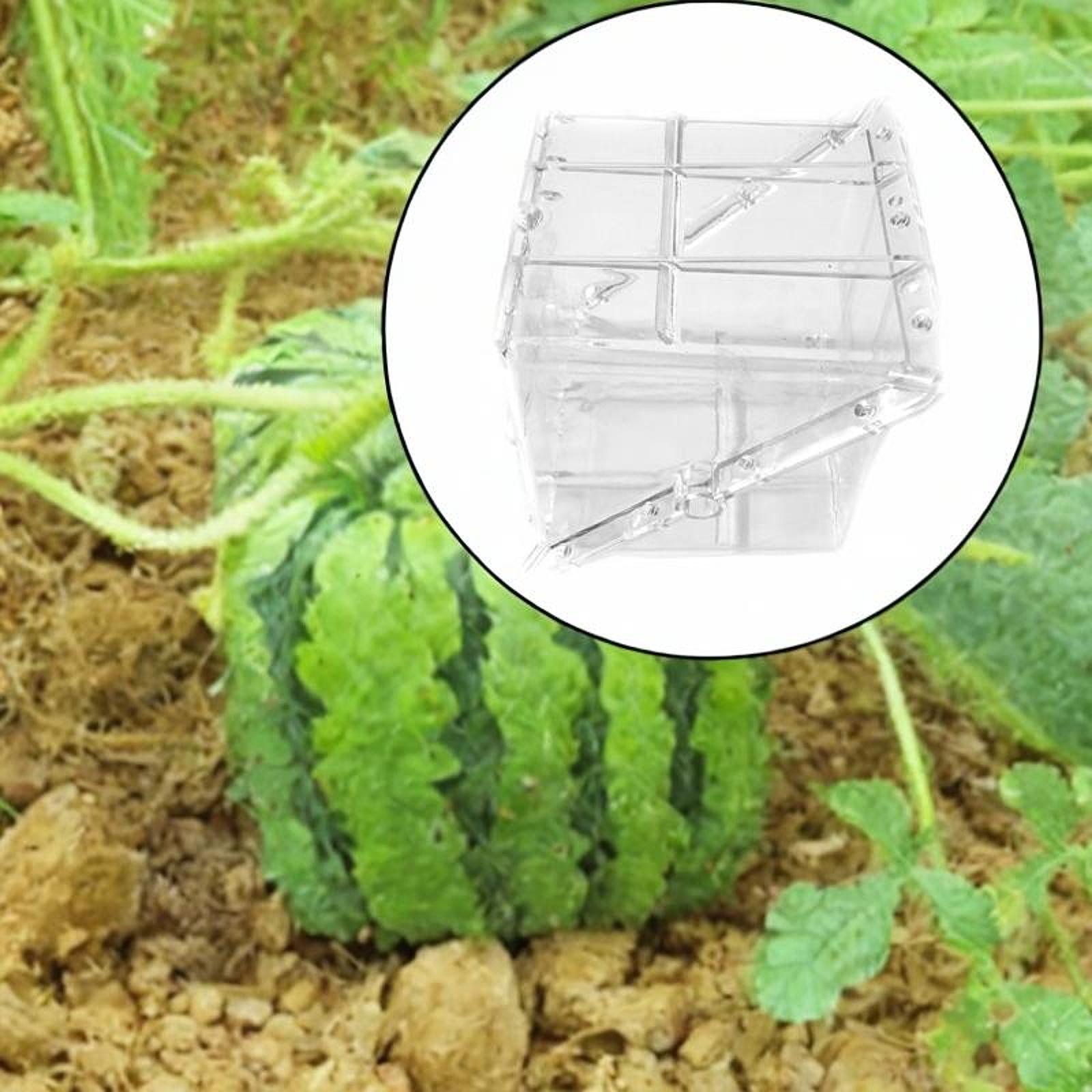 Gardening Tools Unique - Квадратная форма для роста арбуза, простая